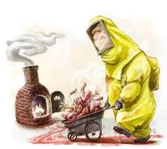 images_004